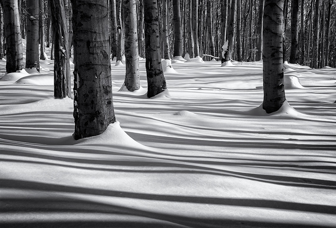 Příloha komentáře