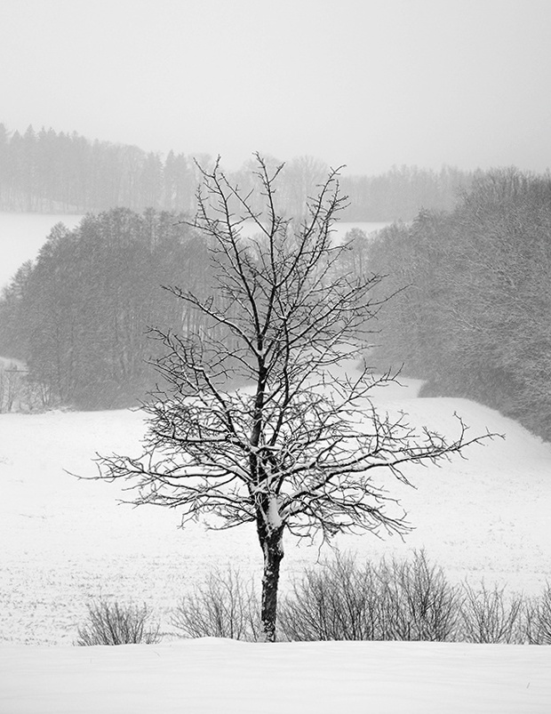 Příloha komentáře