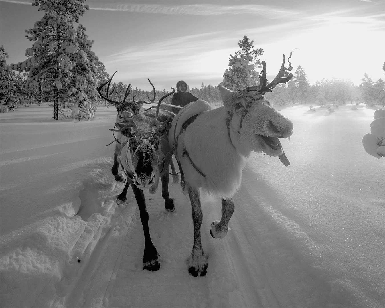 Příloha komentáře
