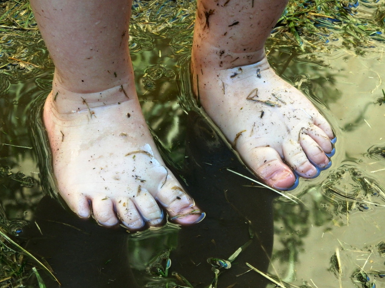 Příloha komentáře