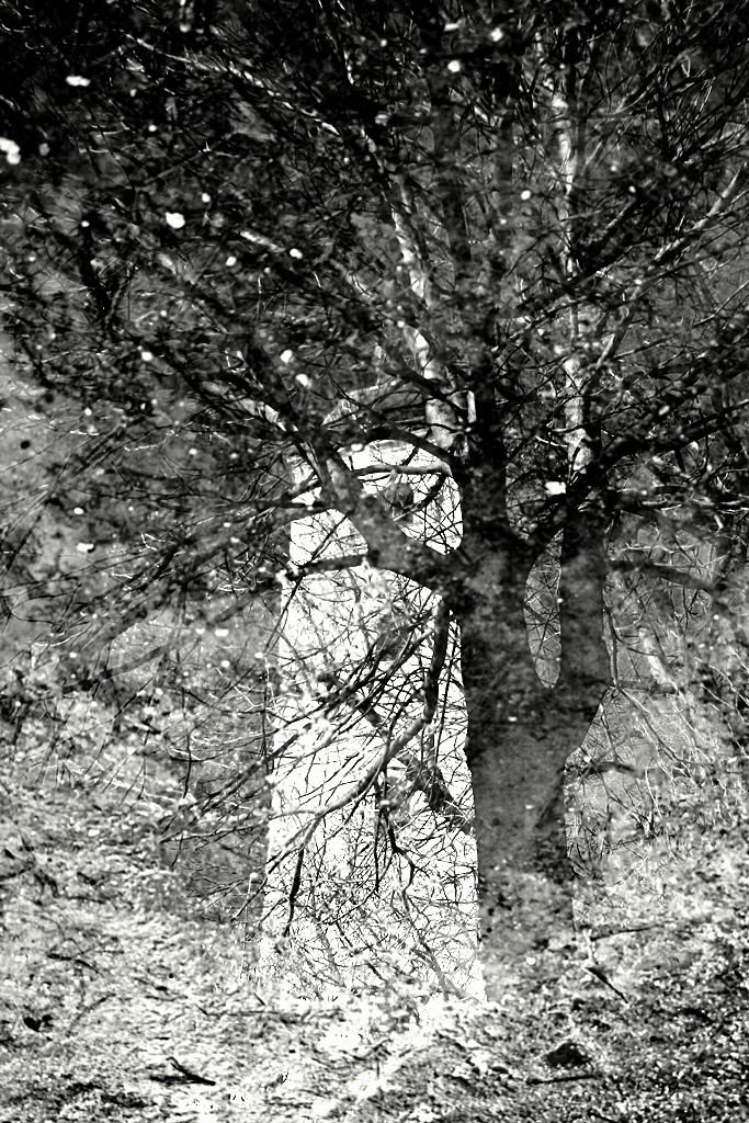 Příloha komentáře