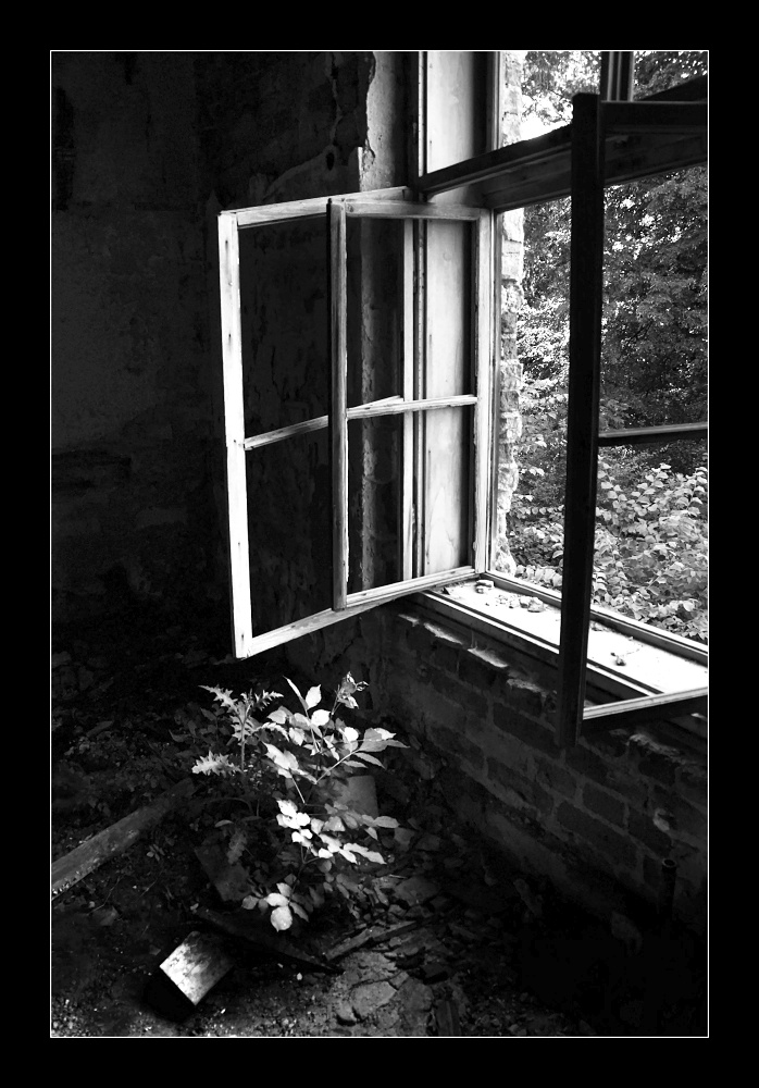 Příloha komentáře