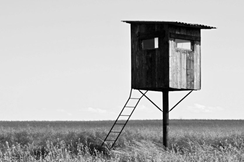 Příloha komentáře