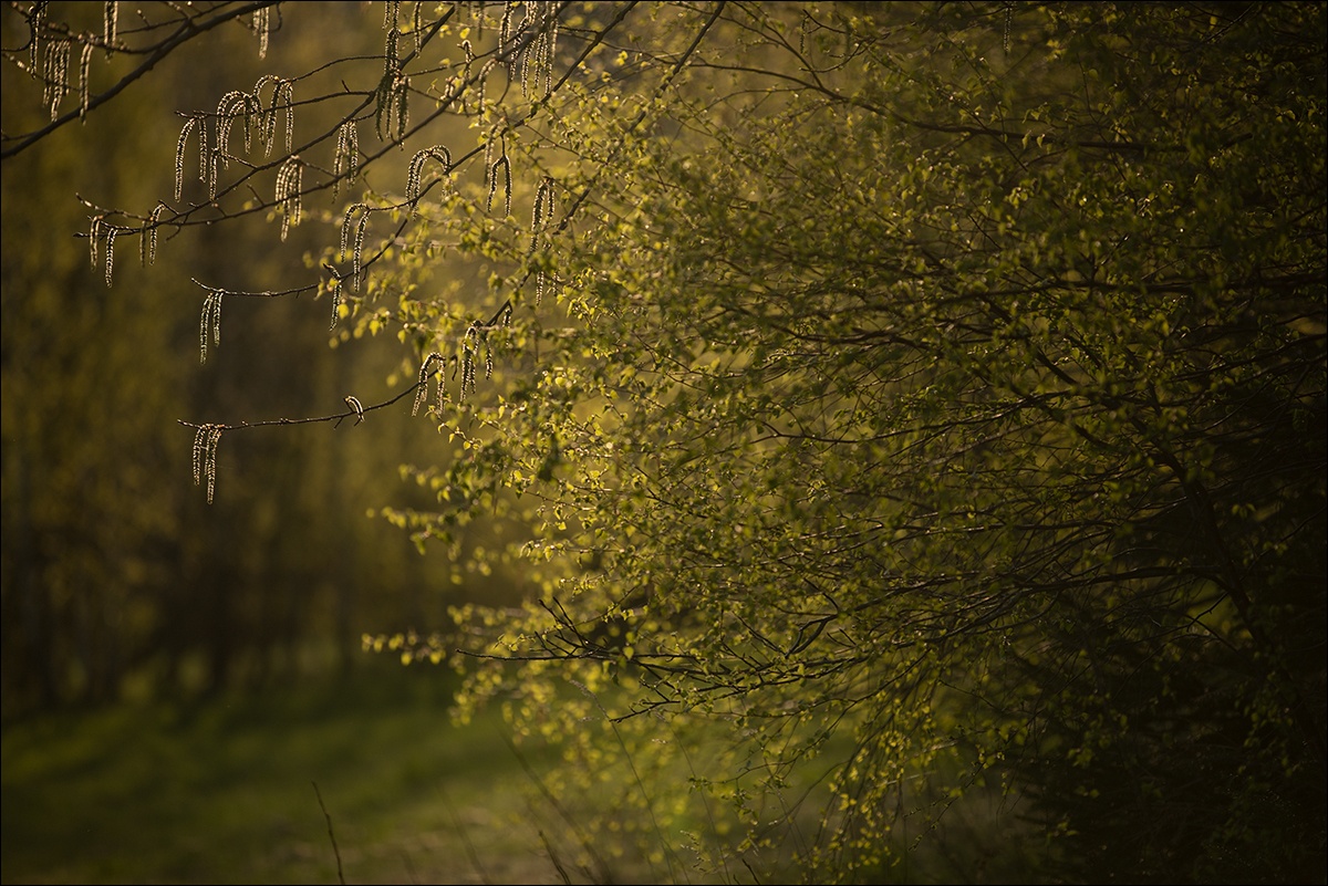 Příloha komentáře