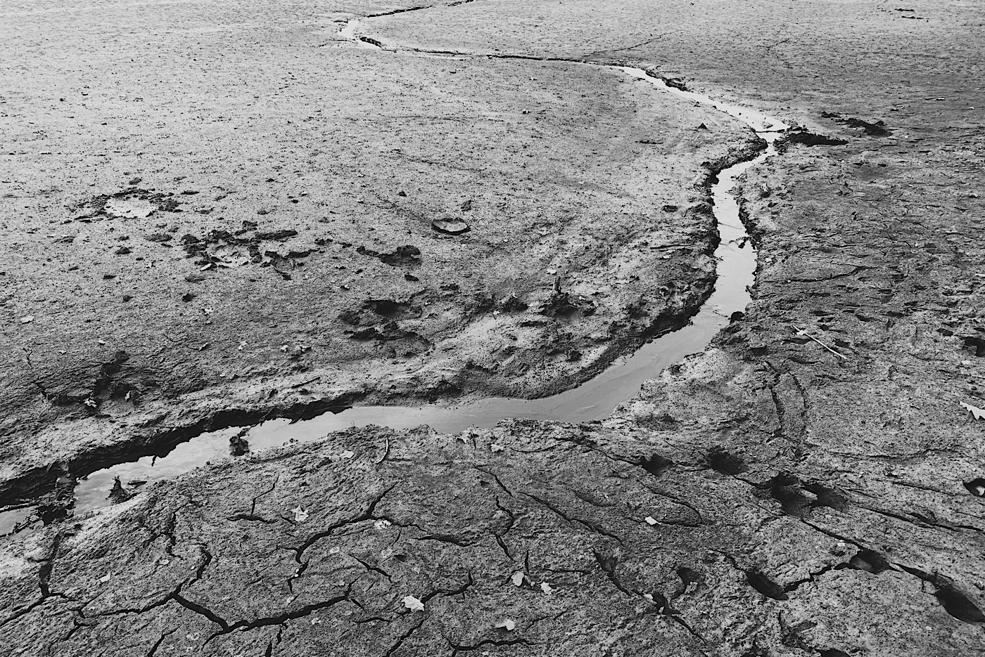 Příloha komentáře