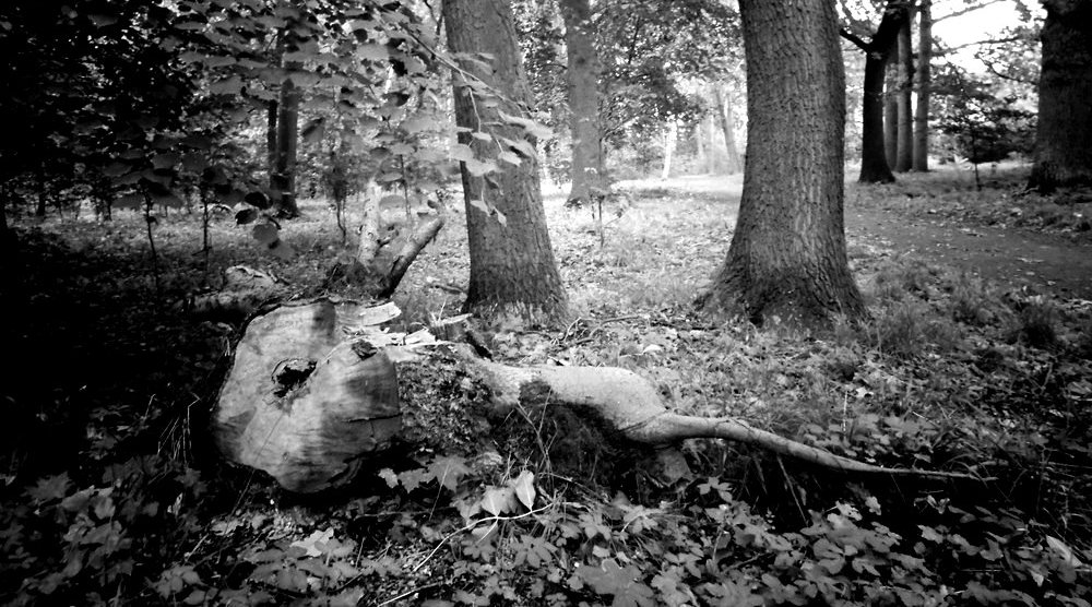 Příloha komentáře