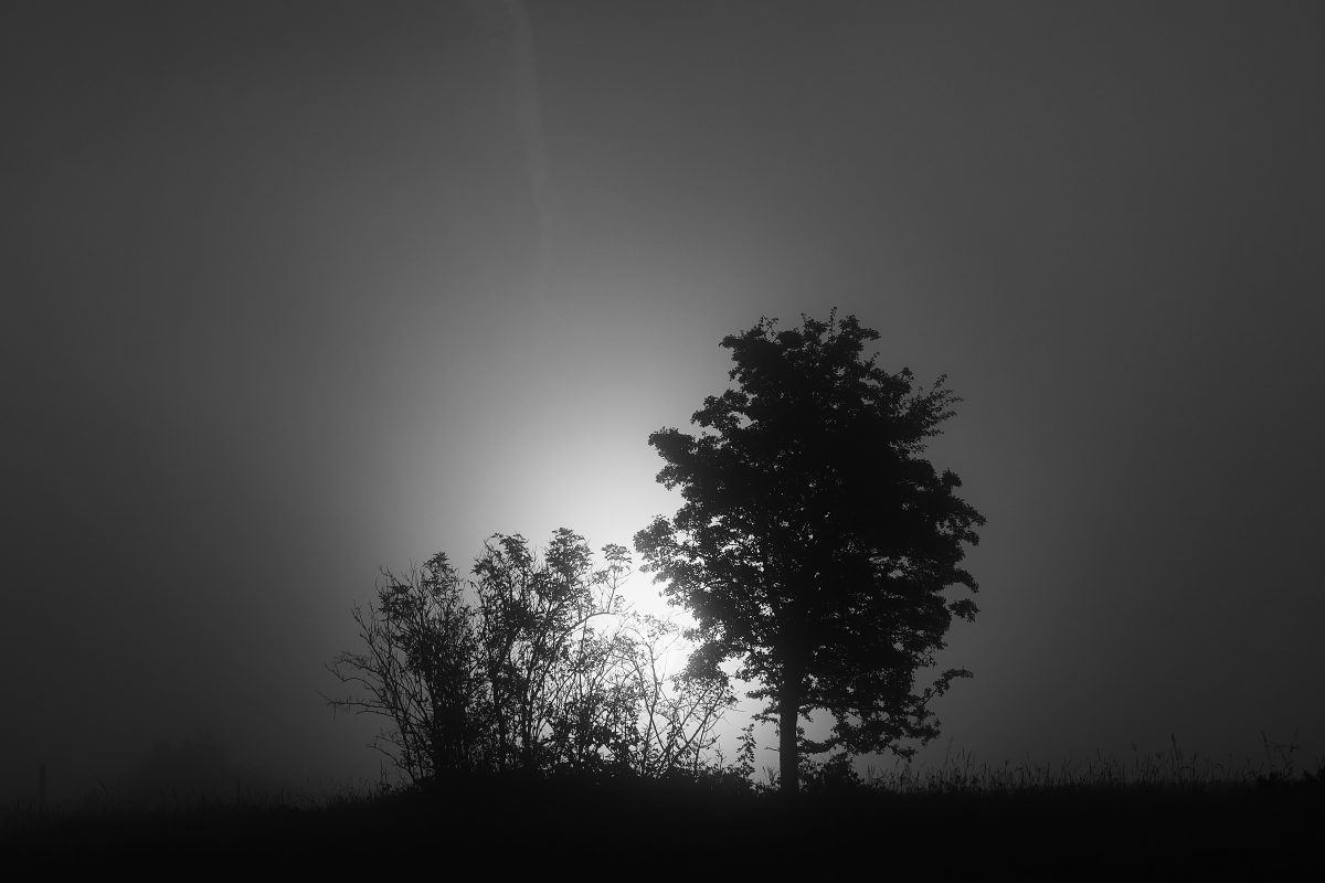 Příloha komentáře