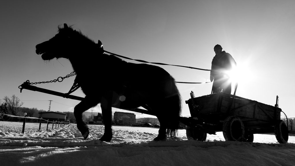 Příloha komentáře
