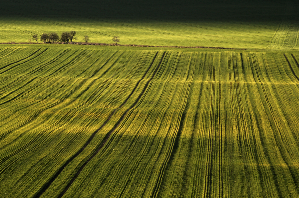 Příloha komentáře