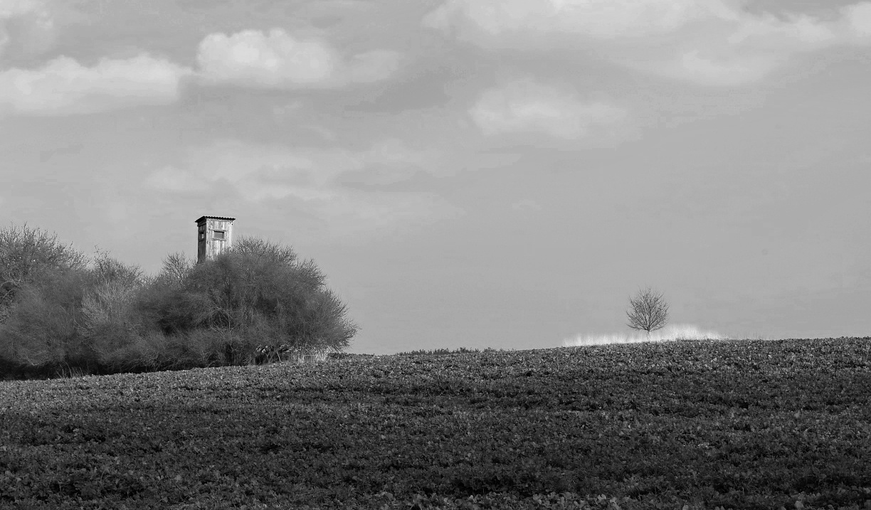 Příloha komentáře