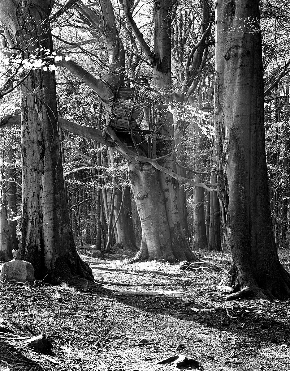 Příloha komentáře