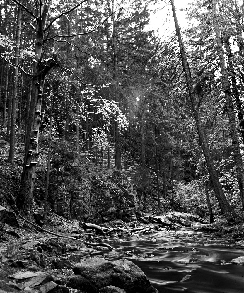 Příloha komentáře