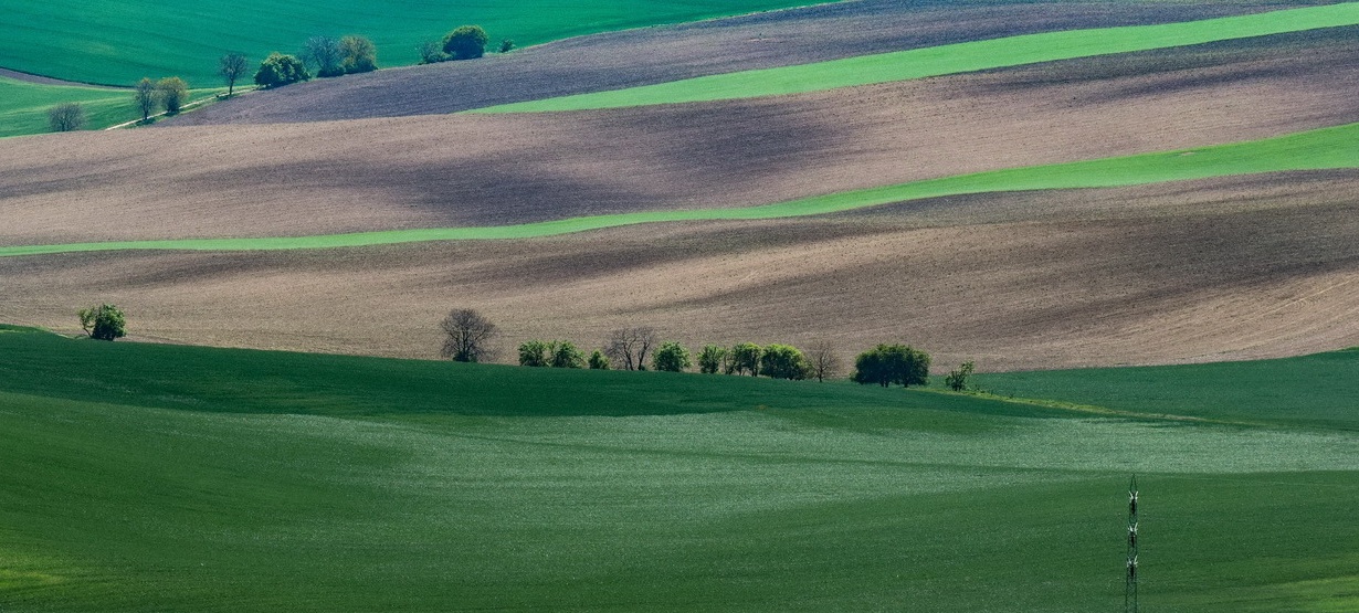 Příloha komentáře