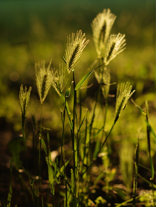 Příloha komentáře