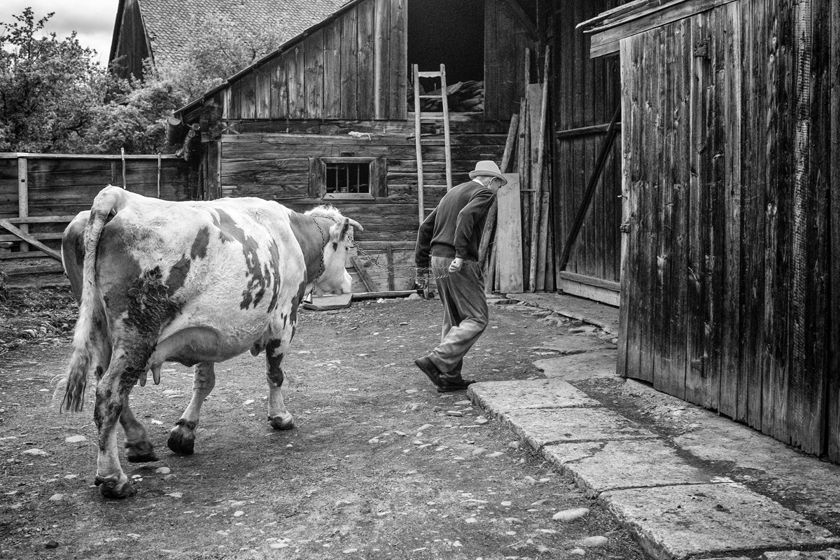 Příloha komentáře
