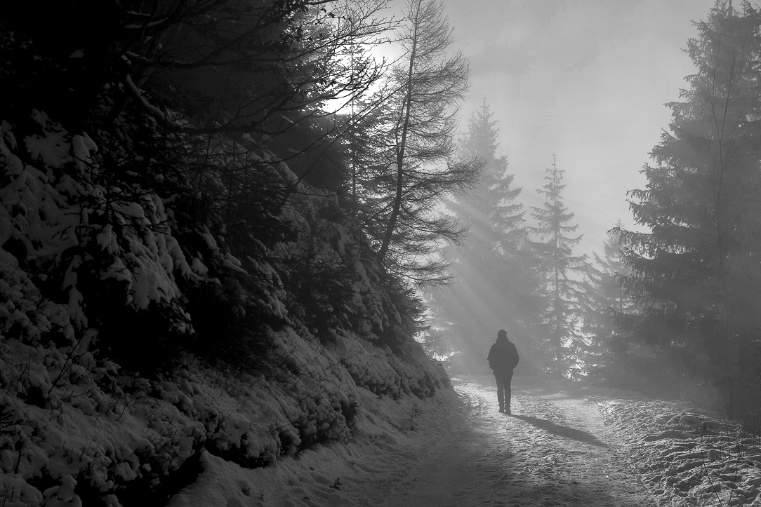 Příloha komentáře