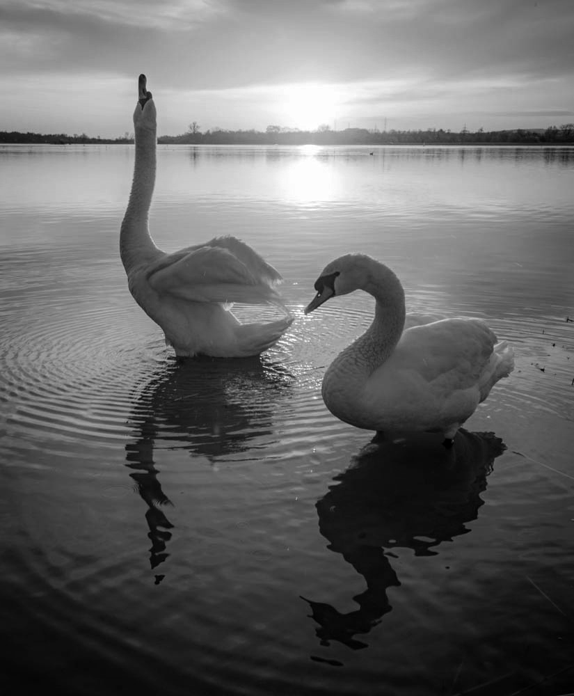 Příloha komentáře