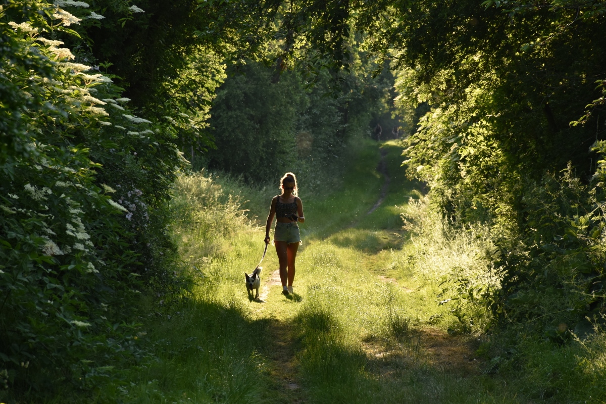 Příloha komentáře