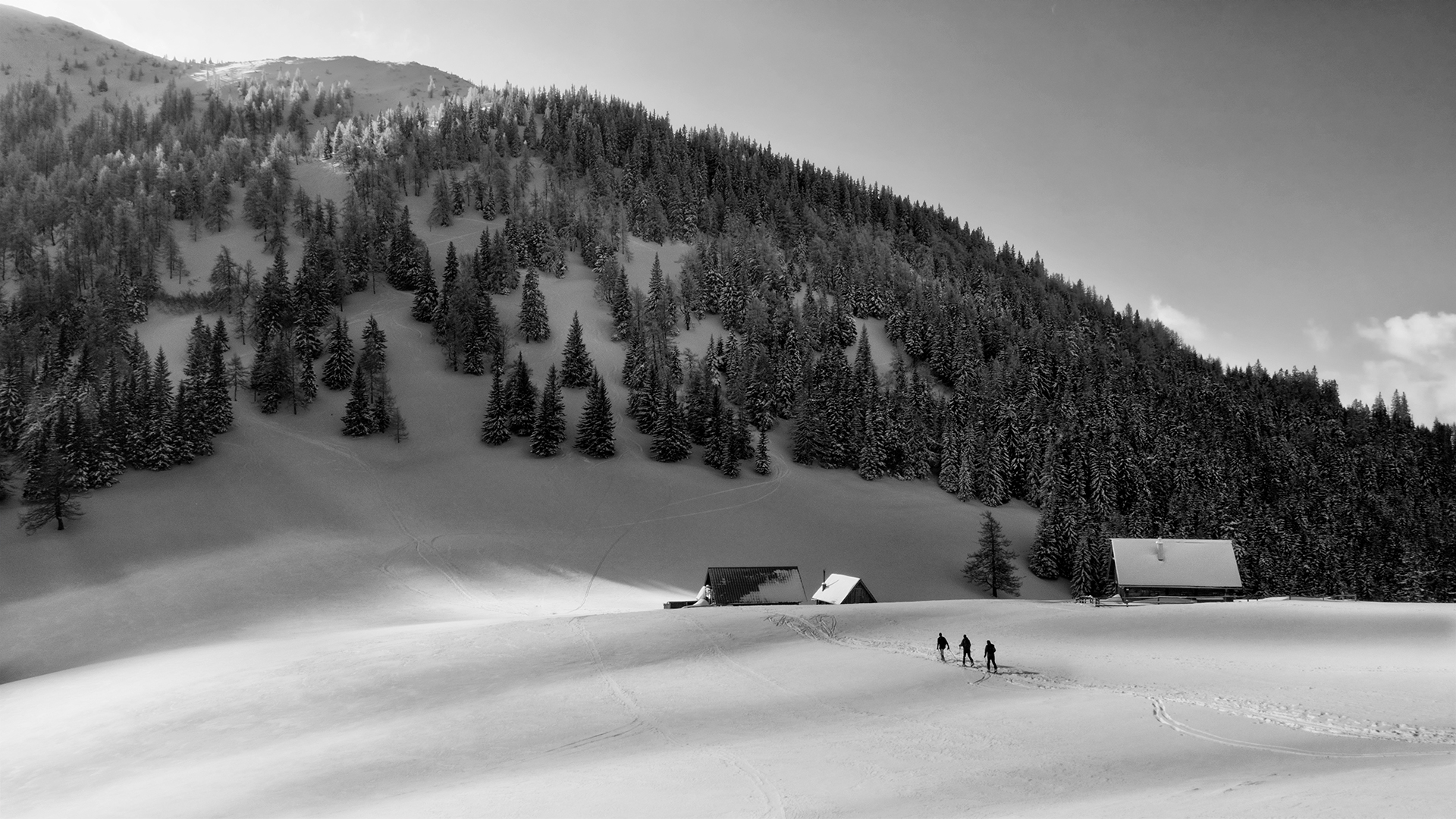 Příloha komentáře