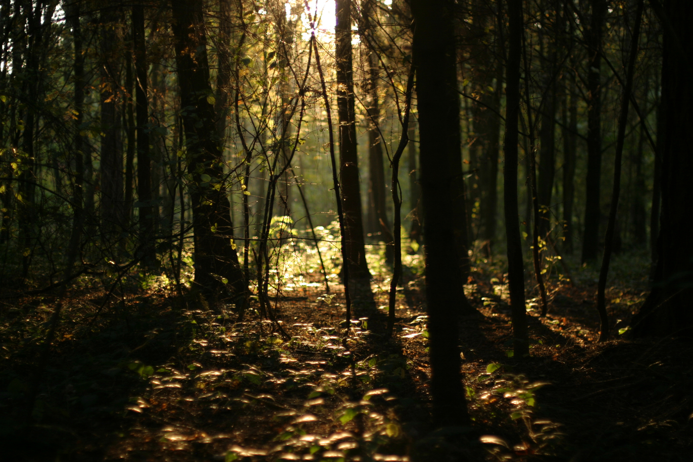 Příloha komentáře