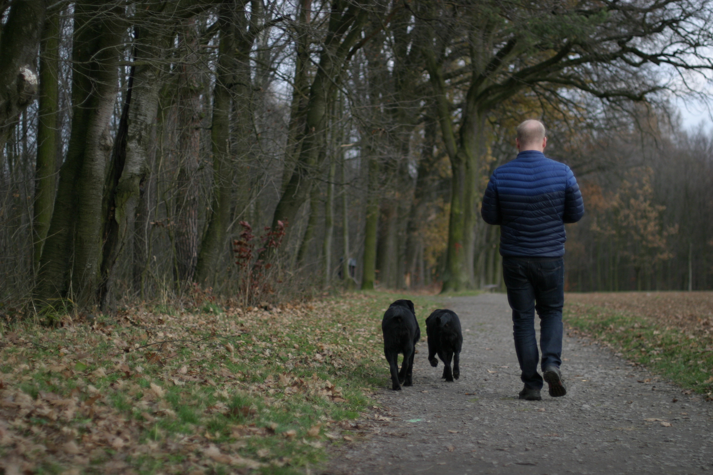 Příloha komentáře