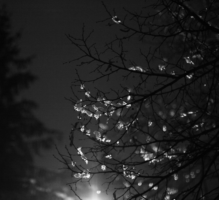 Příloha komentáře