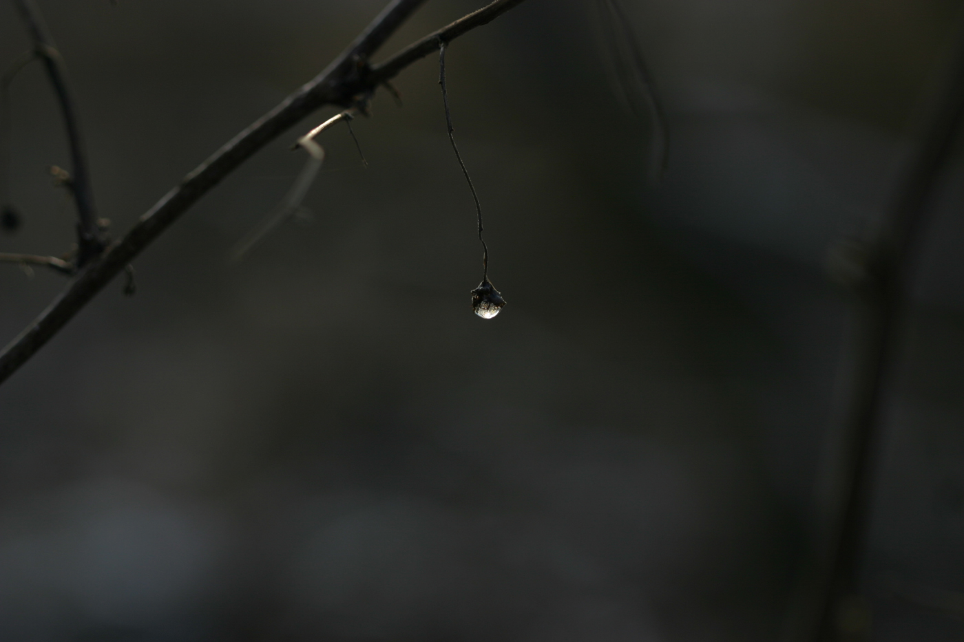 Příloha komentáře