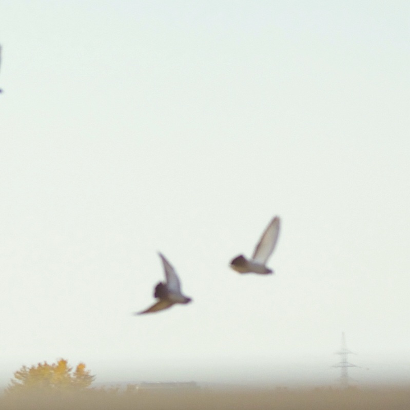 Příloha komentáře