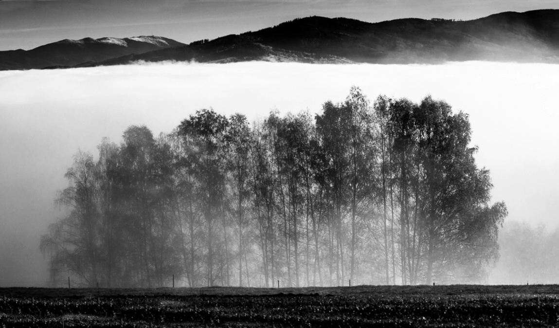 Příloha komentáře