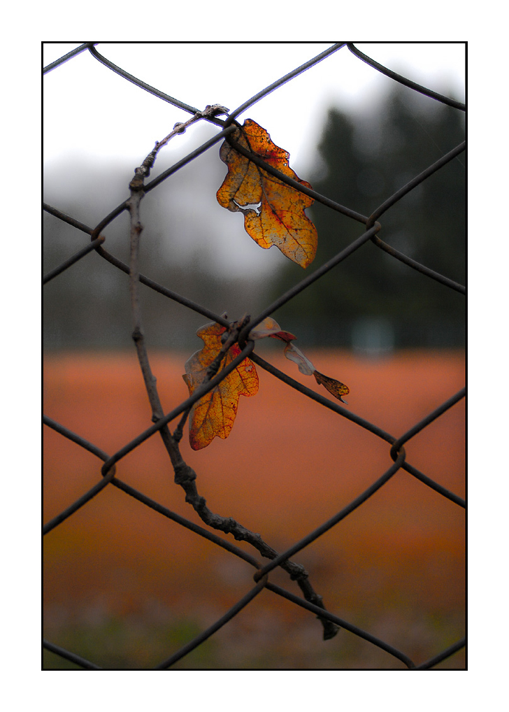 Příloha komentáře