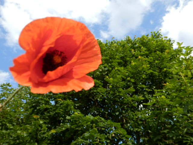 Příloha komentáře