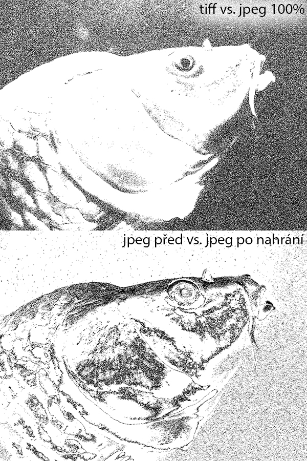 Příloha komentáře