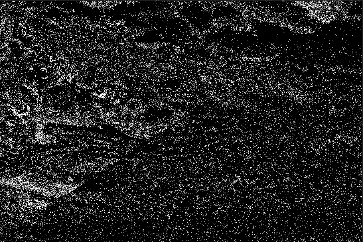 Příloha komentáře