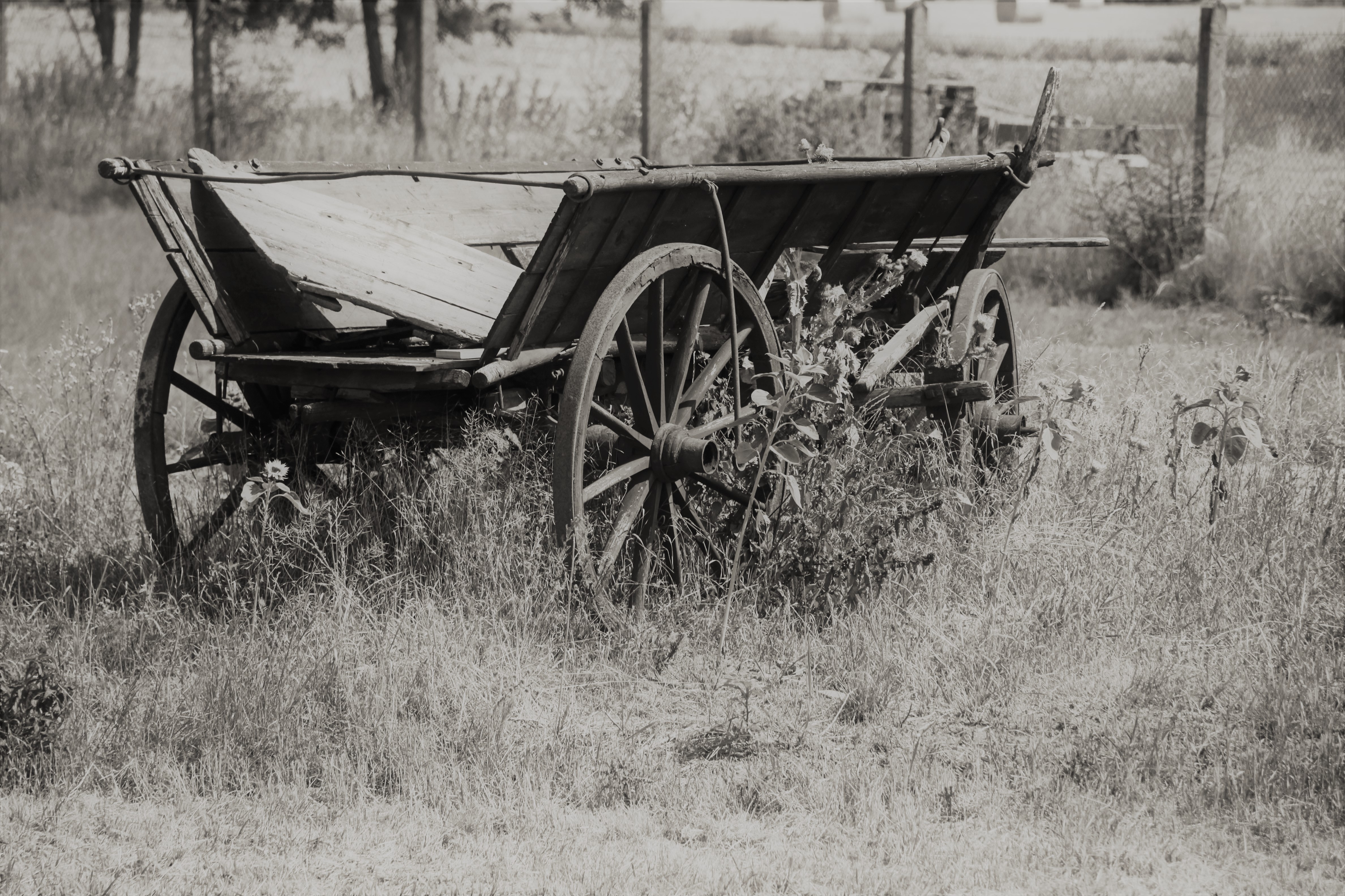 Příloha komentáře