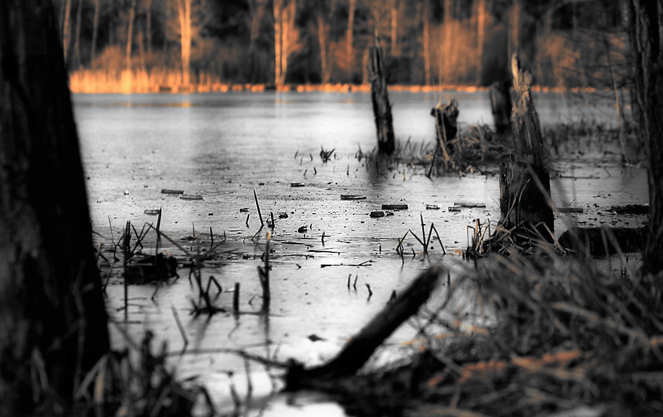 Příloha komentáře