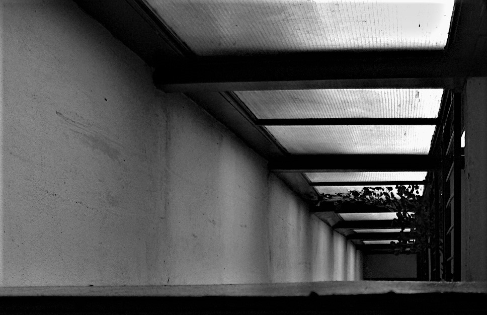 Příloha komentáře