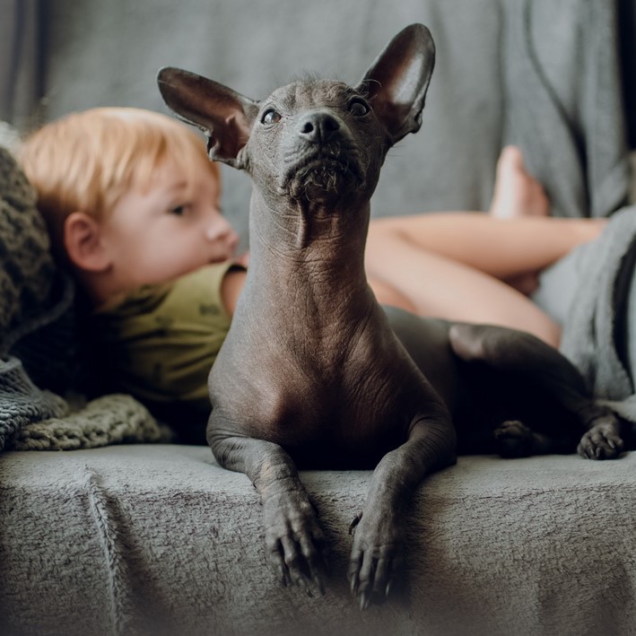 Příloha komentáře