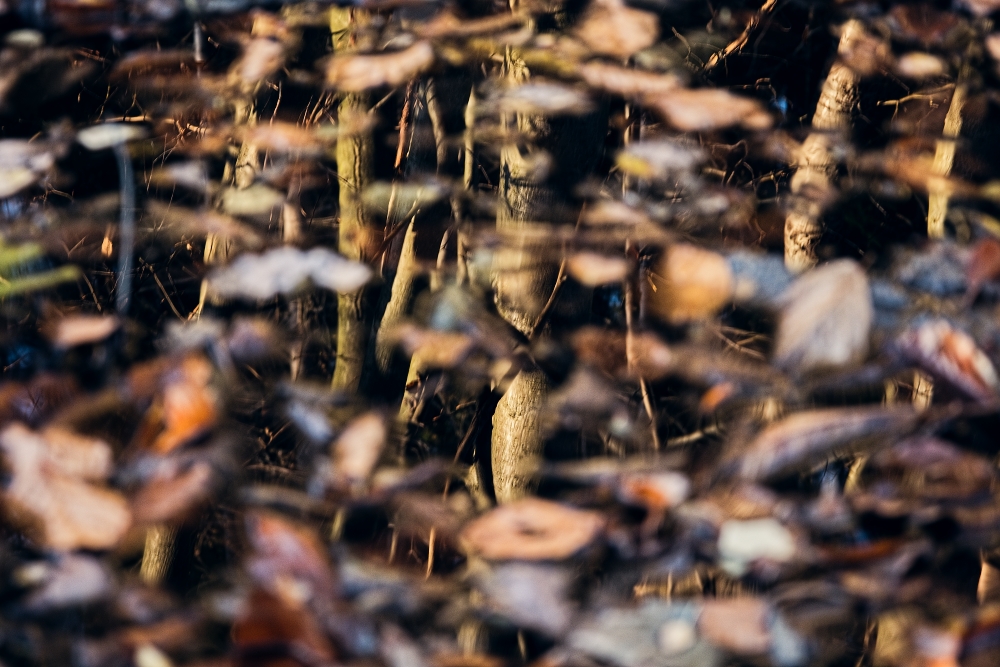 Příloha komentáře