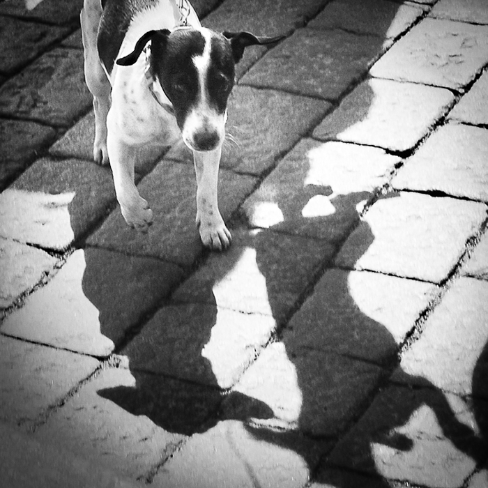 Příloha komentáře