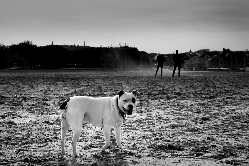 Příloha komentáře