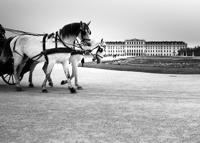 Příloha komentáře