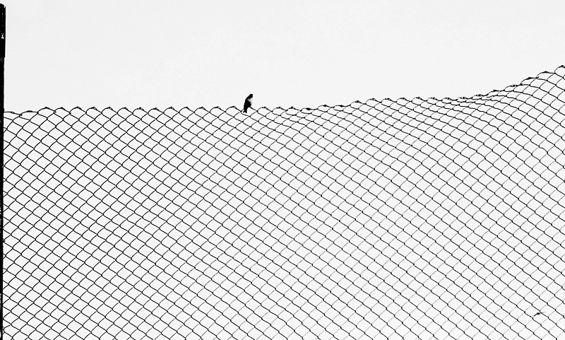 Příloha komentáře