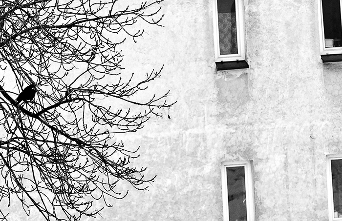 Příloha komentáře