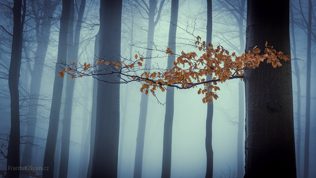 Příloha komentáře