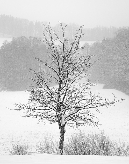 Příloha komentáře