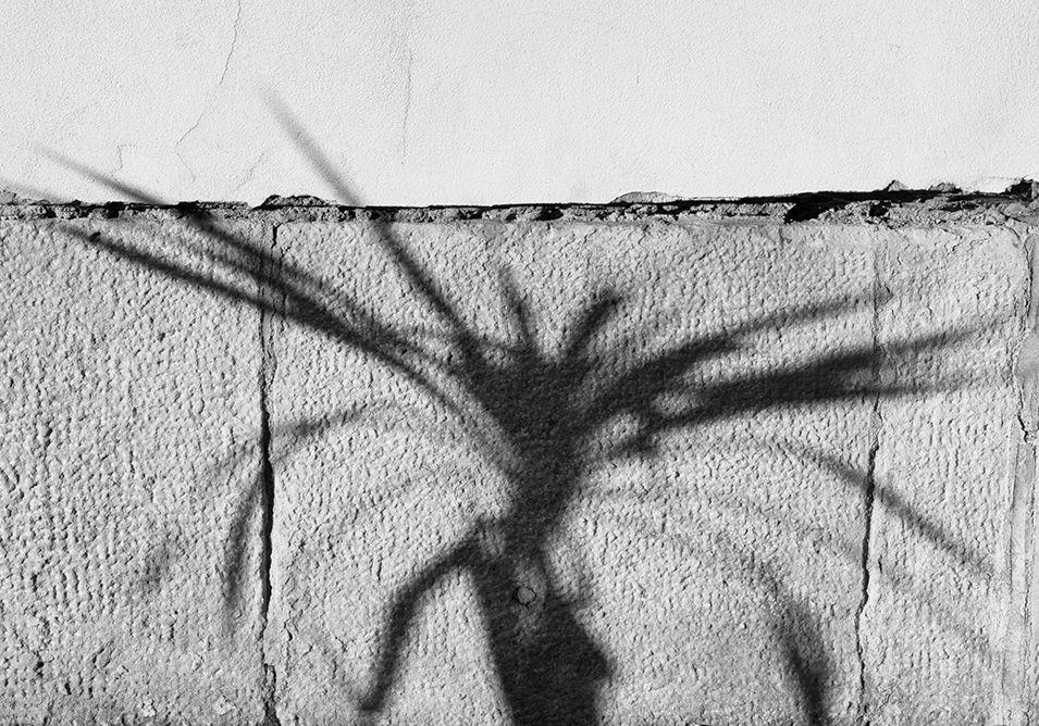 Příloha komentáře