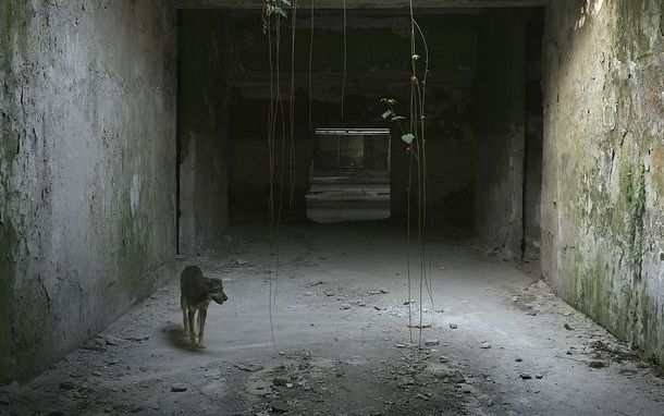 Příloha komentáře