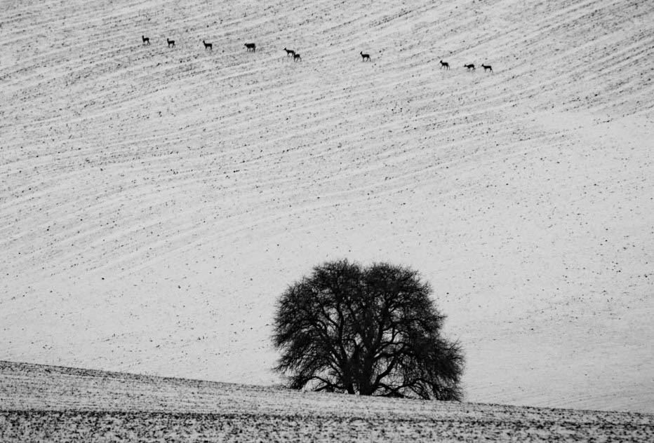 Příloha komentáře