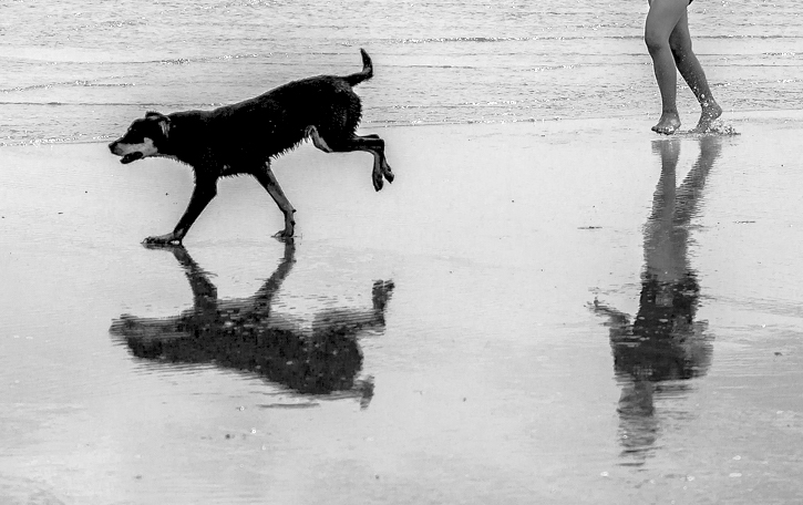 Příloha komentáře