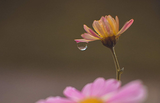 Příloha komentáře